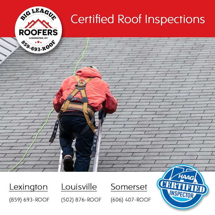 Big League Roofers Picture 8