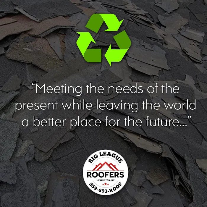 Big League Roofers Picture 7