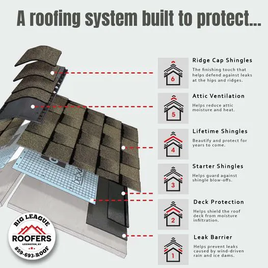 Big League Roofers Picture 9