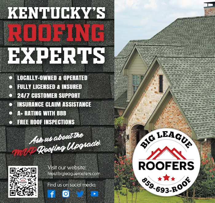 Big League Roofers Picture 10