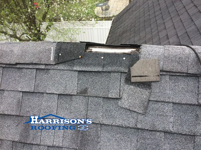 Harrison's Roofing Picture 9
