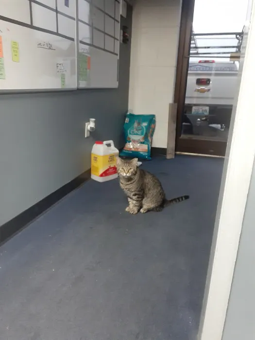 Harrison's Roofing Picture 8