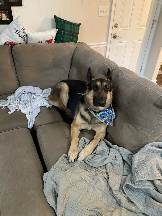 House Doctor of KY Picture 6