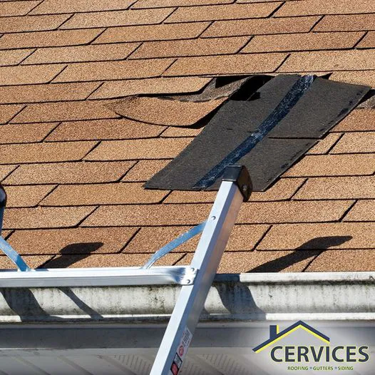Cervices, LLC Roofing, Gutters, and Siding Picture 1