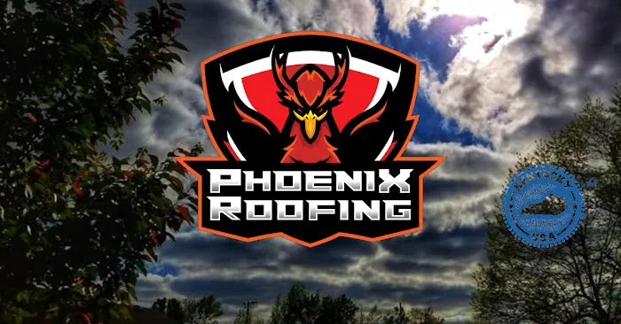 Phoenix Roofing Picture 1