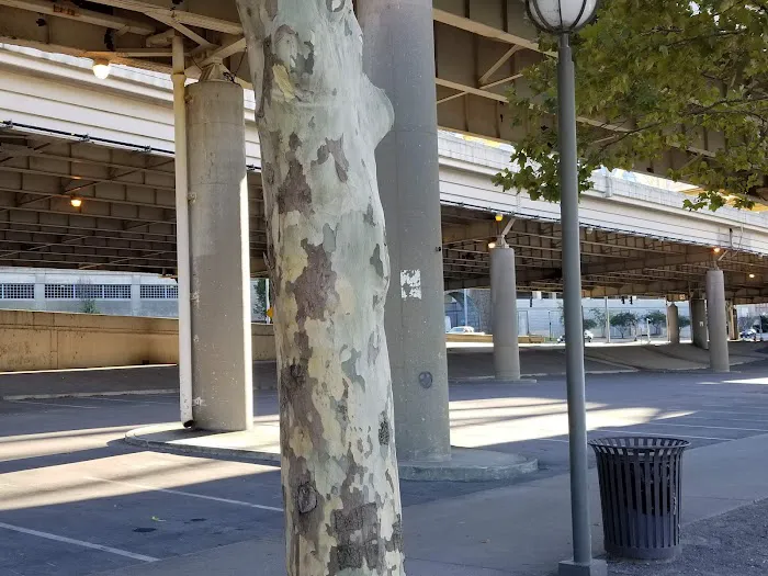 puente roofing Picture 6