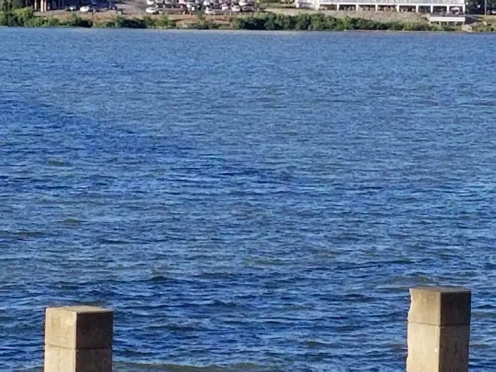 puente roofing Picture 9