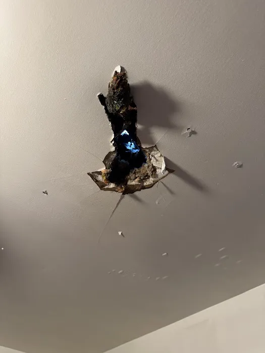 B and G roofing and framing Picture 6