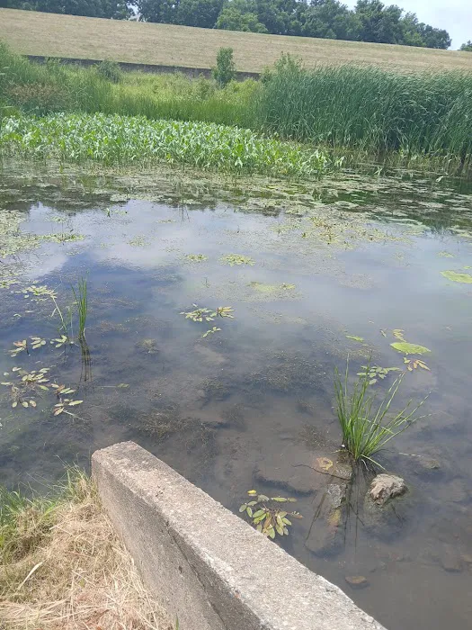 Glen Ellyn Roofing Picture 2