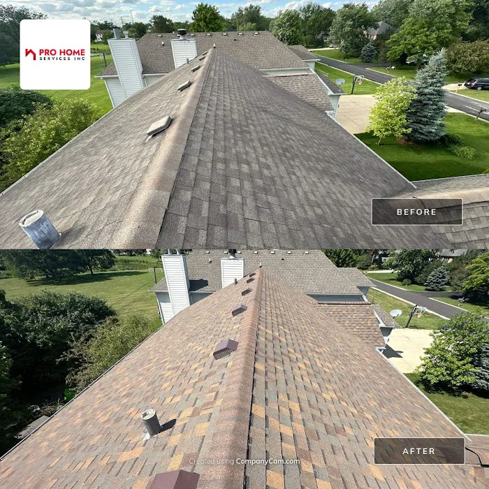 Pro Home Services, Inc Picture 2