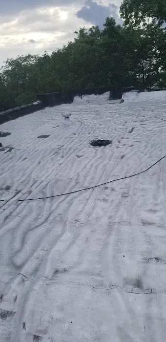 Chicago Roofing Specialist & Tuckpointing Picture 5