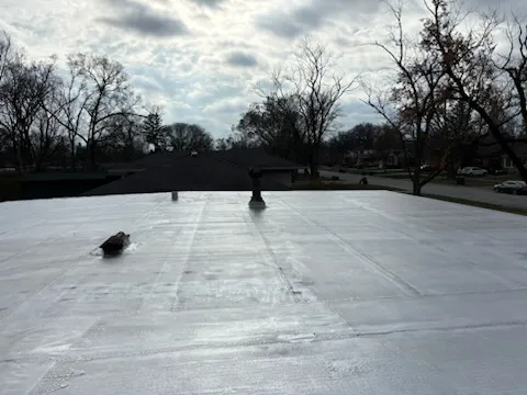 Chicago Roofing Specialist & Tuckpointing Picture 4