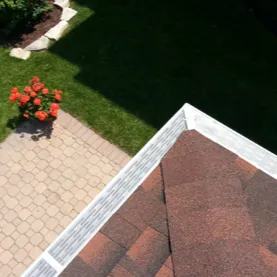 Chicago GutterGlove Picture 4