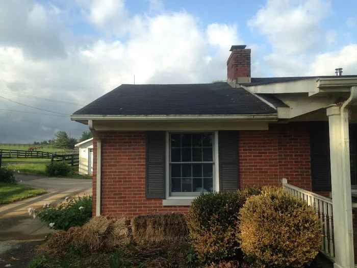 Roof Medic Picture 4