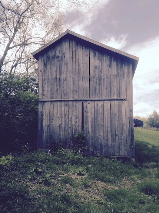 Roof Medic Picture 7