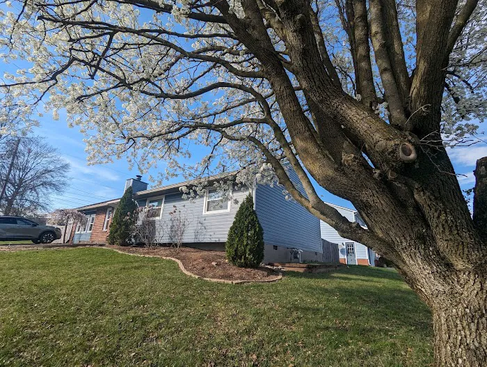 Mighty Dog Roofing of Lexington Picture 9