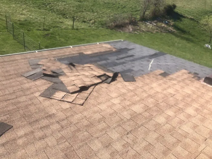 Sebring Roofing Picture 2