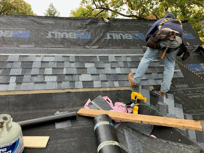 Spandico LLC Picture 6