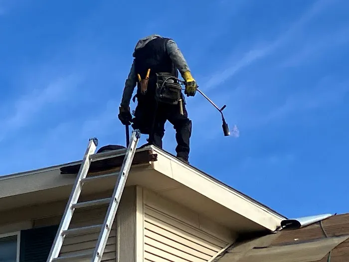 Spandico LLC Picture 8