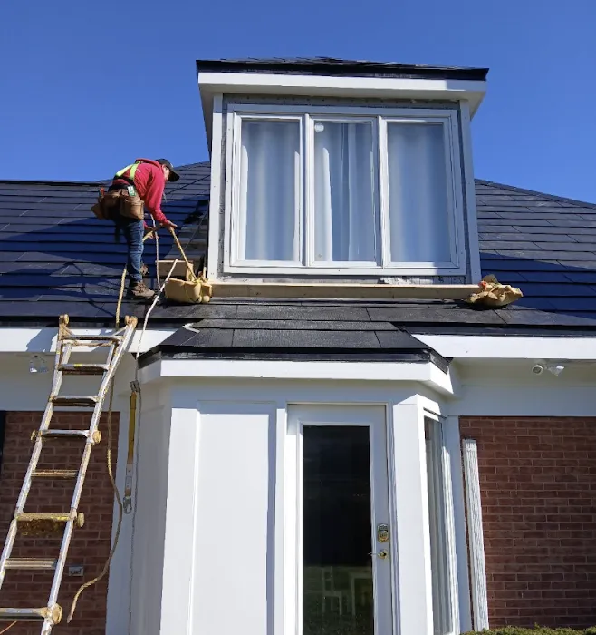 Green Attic Roofing Picture 8