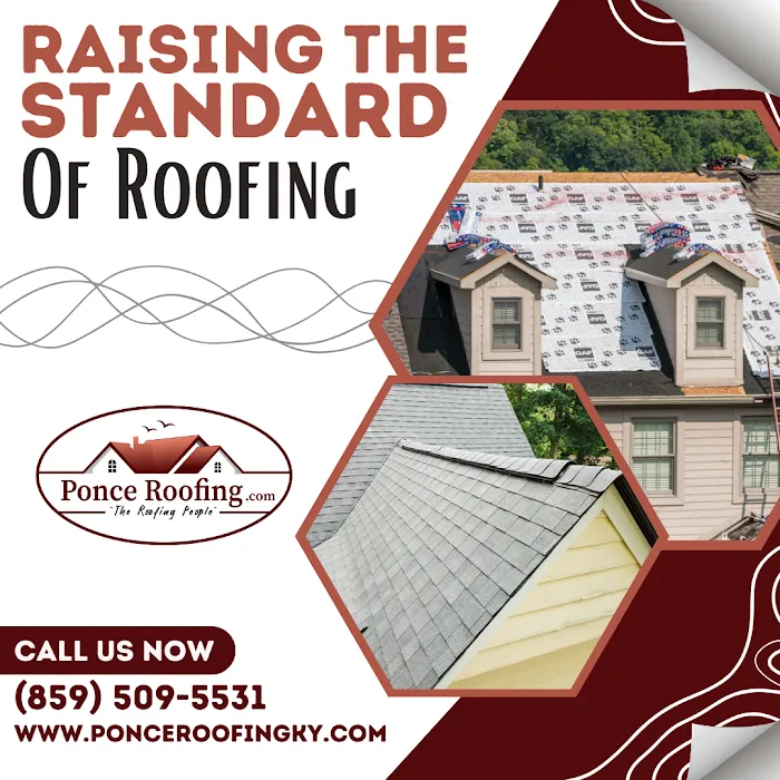 Ponce Roofing Picture 10