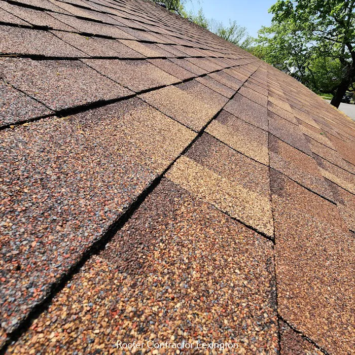 Tri-Star Roofing & Renovations Picture 5