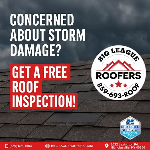 Big League Roofers Picture 2