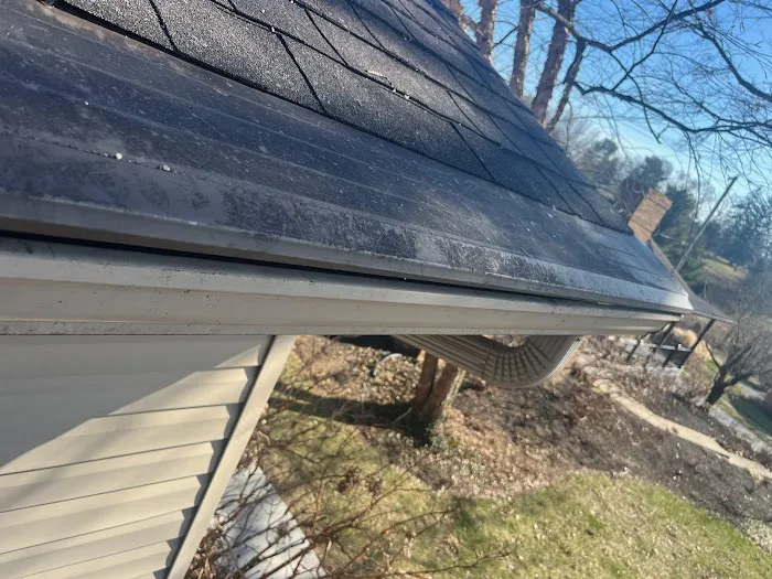 Big League Roofers Picture 7