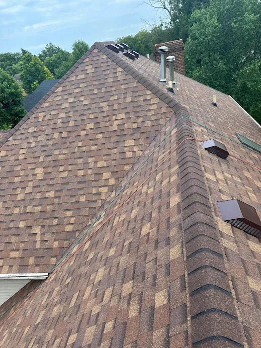 Thoroughbred Roofs Picture 3