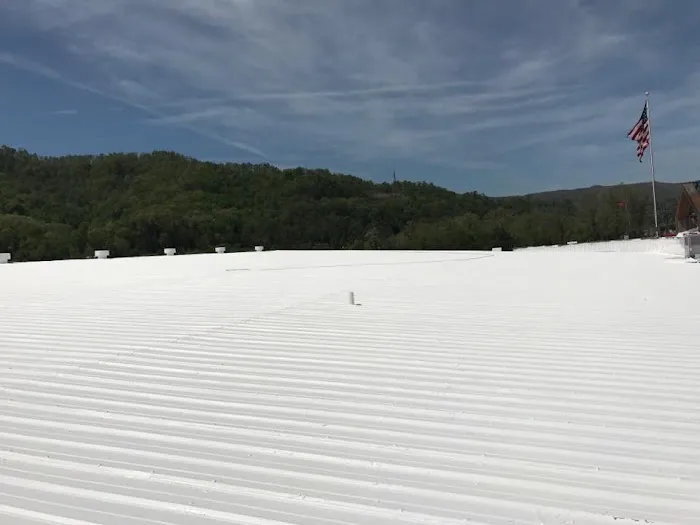 Energy Cool Roofing Picture 1