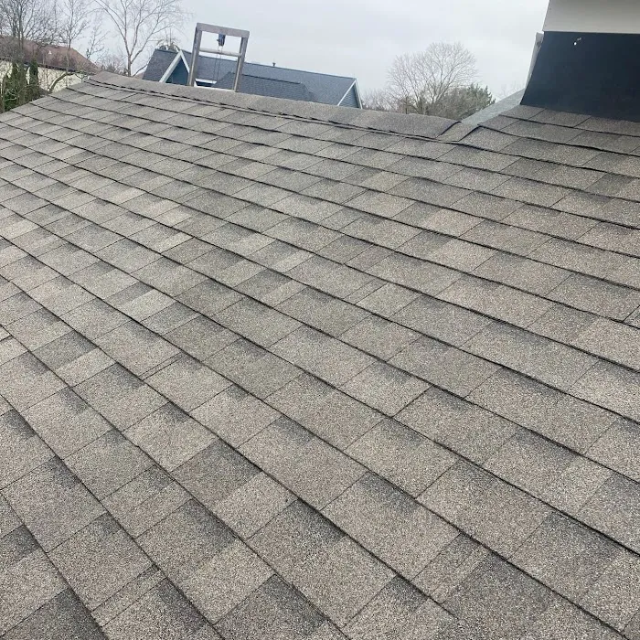 RVAX Metal Roofing Picture 1