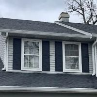 Leo Exterior Restoration ico