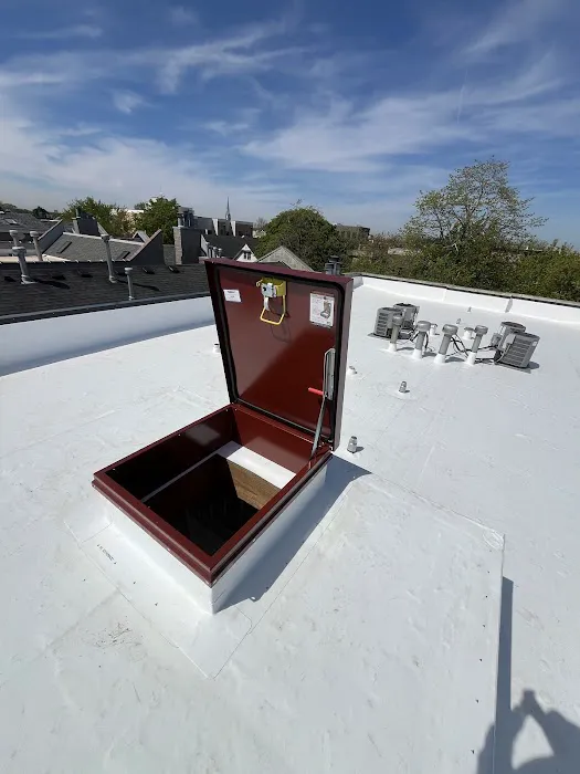 Max Roofing Picture 2