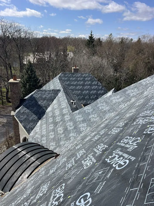 Max Roofing Picture 6