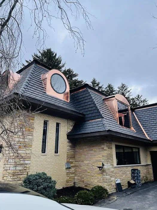 Max Roofing Picture 7