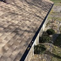 Absolute Exteriors ico