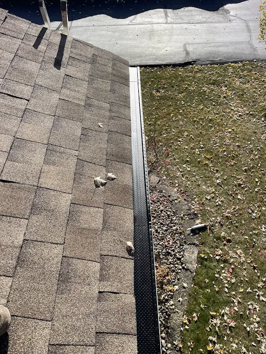 Absolute Exteriors Picture 5