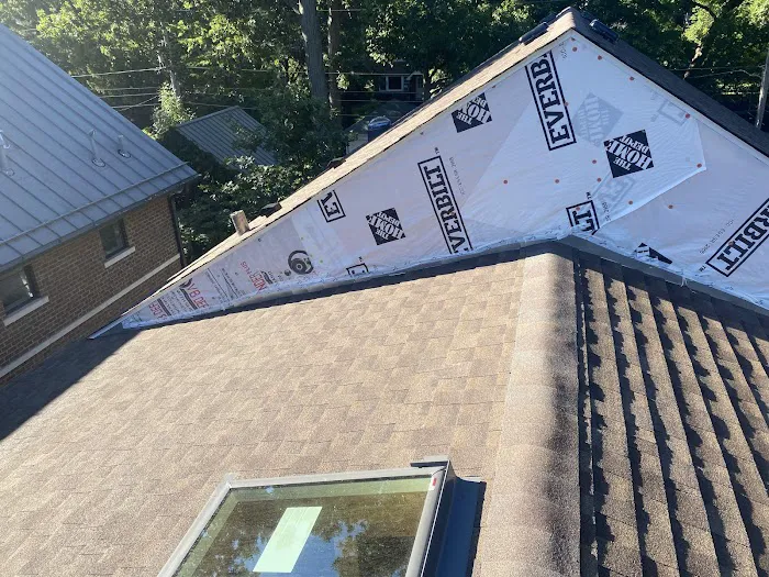 Standard roofing Picture 5