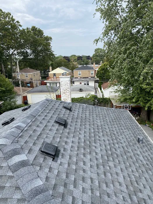 Standard roofing Picture 6