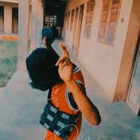 Chicago Roofing School and Contractors Network & Training Center ico