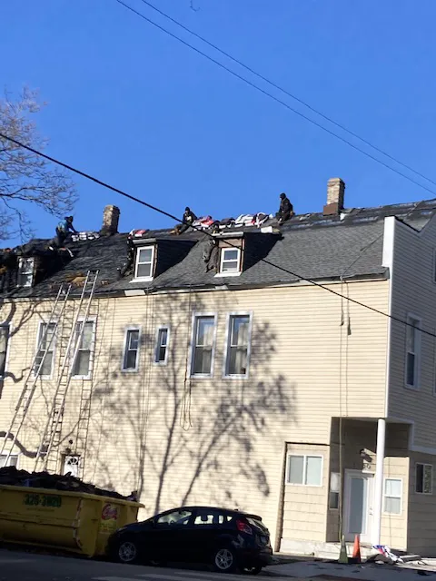 Green World Construction Picture 1