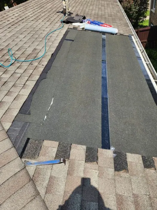 Green World Construction Picture 6