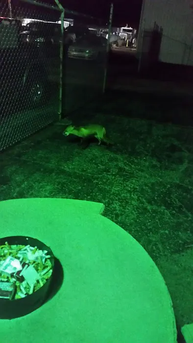 Swift Roofing Inc. of Elizabethtown KY Picture 9