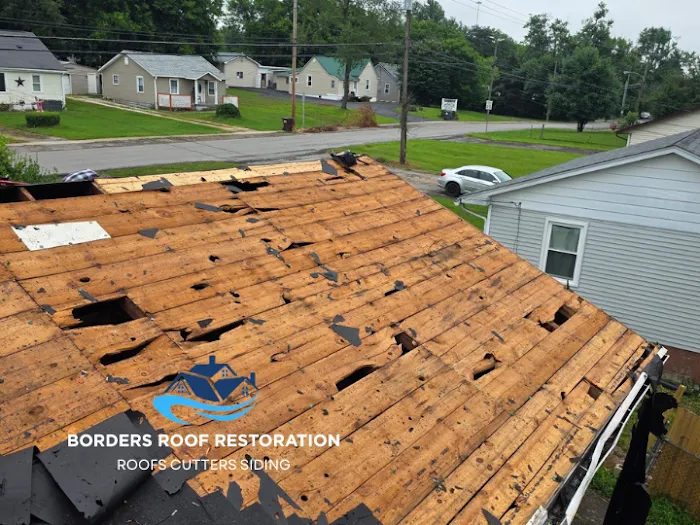 Borders Roof Restoration Picture 3