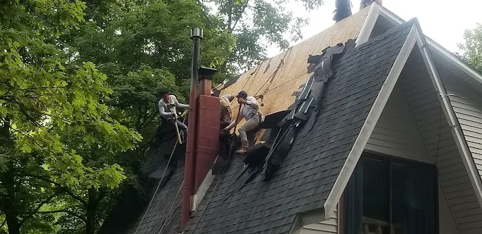 Borders Roof Restoration Picture 4