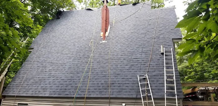 Borders Roof Restoration Picture 8