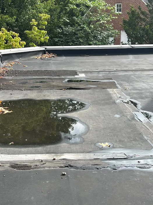 Empire Roofing and Exteriors Picture 10