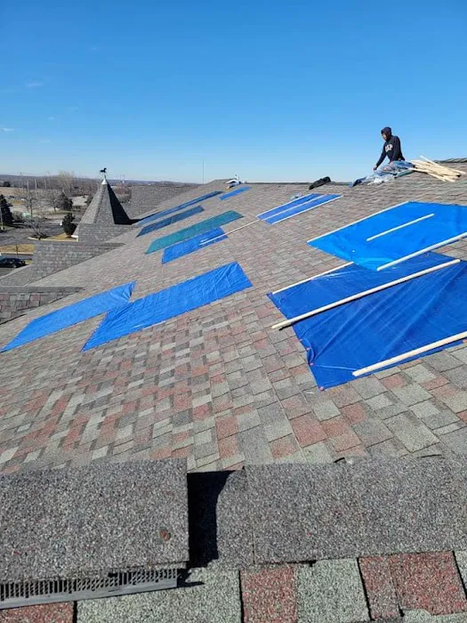 Platinum Exteriors Inc Picture 4