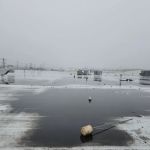 Century Roofing & Masonry Experts