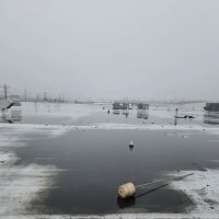 Century Roofing & Masonry Experts ico